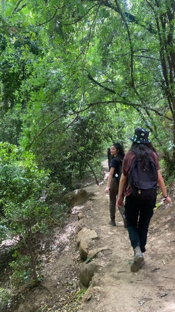 Trekking in Rishikesh – best trekking packages with certified guides