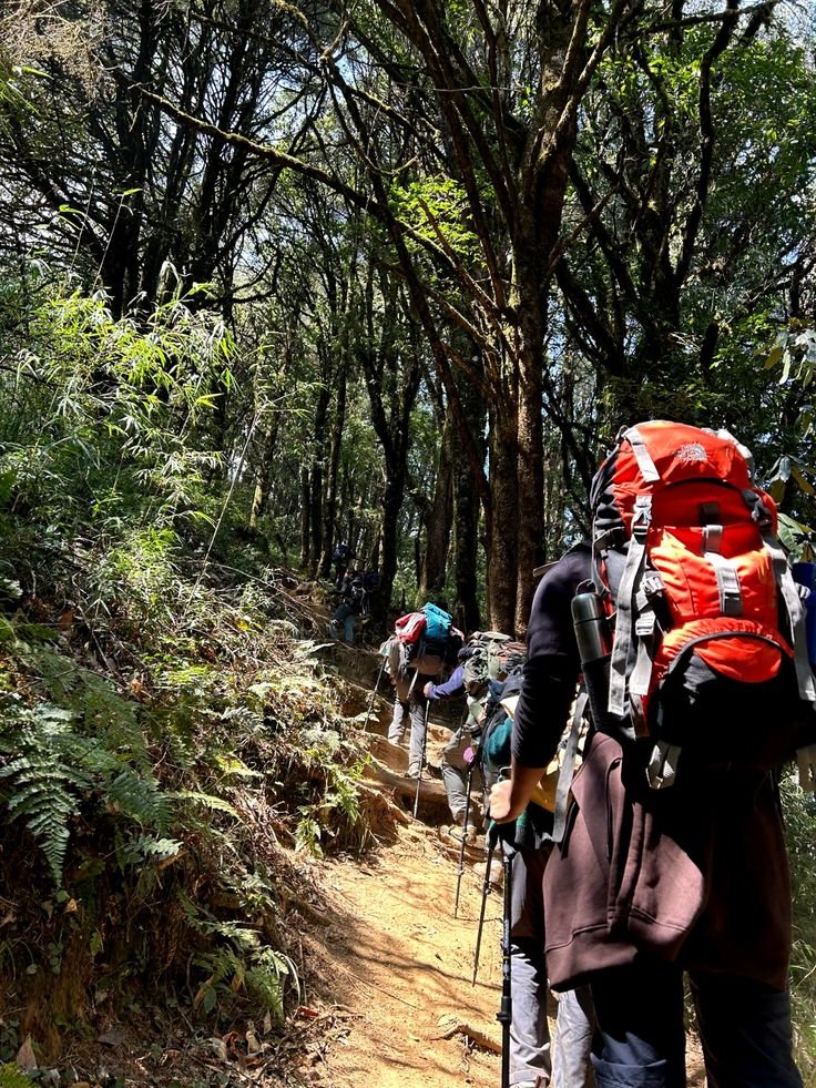 Trekking in Rishikesh – best trekking packages with certified guides